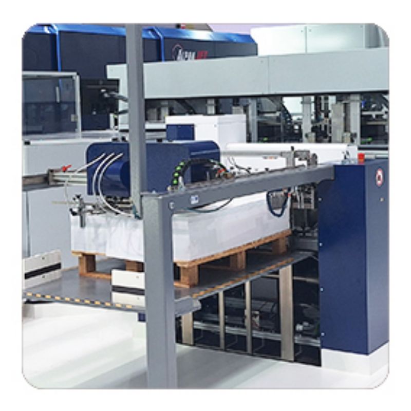 Picture for category Digital Printing & Processing